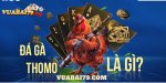 da-ga-thomo-vegas79-2.jpg