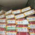 thit trau dong lanh.jpg