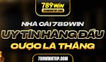 baner-789win.jpg